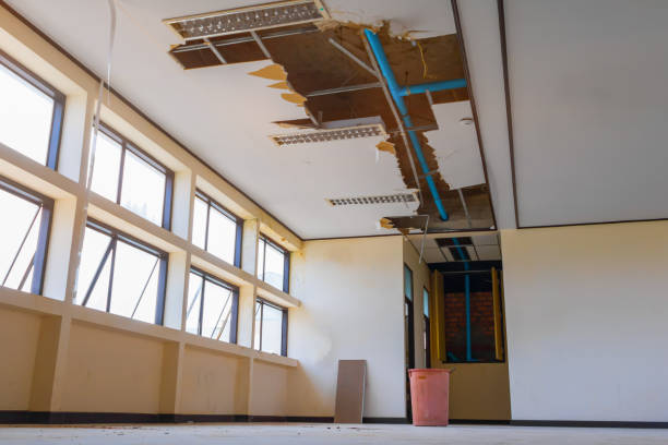 Best Emergency water damage restoration  in Boulevard Park, WA