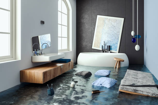 Best Ceiling water damage repair  in Boulevard Park, WA