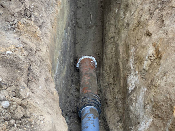 Best Flood damage cleanup  in Boulevard Park, WA