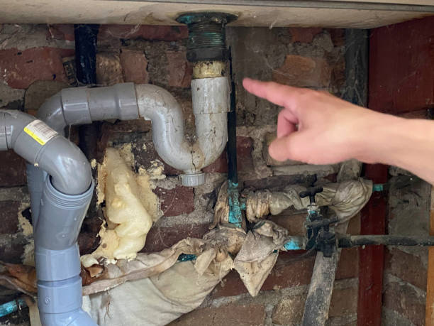 Best Professional water damage repair  in Boulevard Park, WA